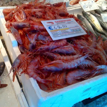 公寓 Salento Vela 圣凯撒利亚温泉